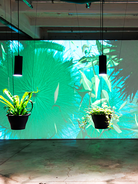 Inhuldiging van iMAL / CASTII